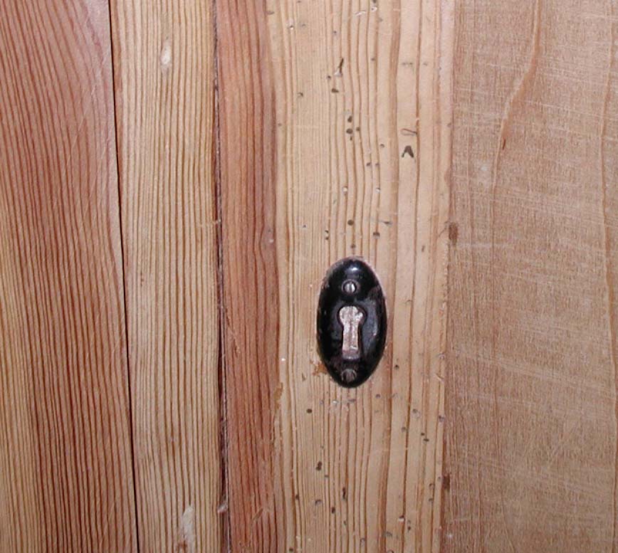 Warum nur im mittleren Holz? Mögliche Antworten: a) der Nagekäfer bevorzugt Splintholz, aber auch b) das mittlere Holz war das feuchteste. Foto: Rüpke