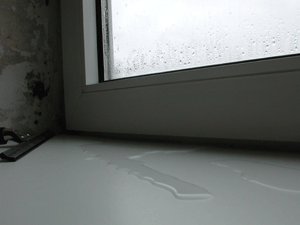 Bild7: Tauwasserausfall am (zu) kalten Fensterglas im Winter. Foto: Rüpke